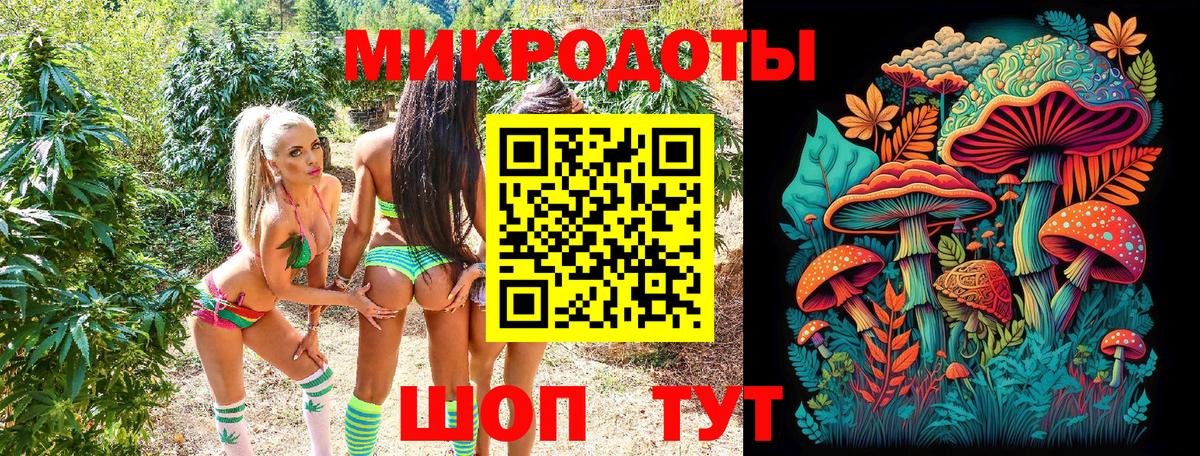 Галлюциногенные грибы Psilocybine cubensis  Вход с VPN  Славгород 